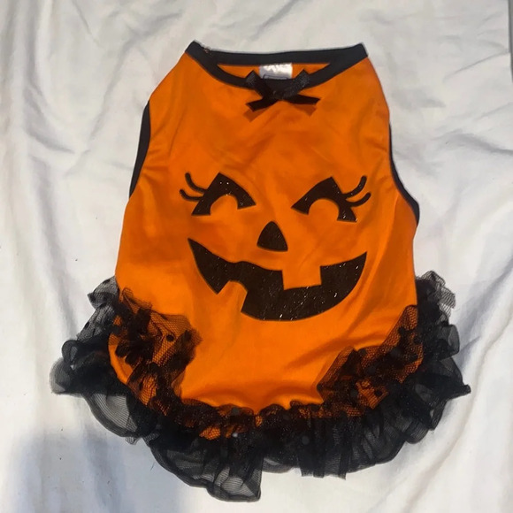 simply wag Other - Simply Wag Dog Pumpkin Dress Clothes